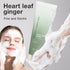 Heartleaf Succinic Facial Cleanser