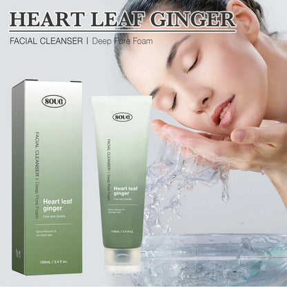 Heartleaf Succinic Facial Cleanser